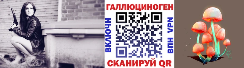 дарнет шоп  Черноголовка  omg зеркало  shop Telegram  Псилоцибиновые грибы Psilocybine cubensis 